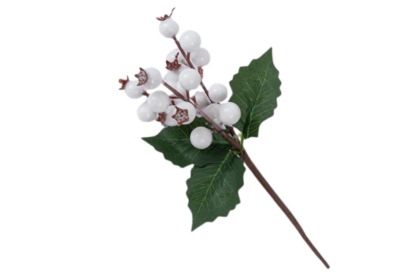 клонче с бели плодчета 21см